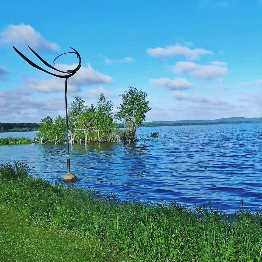 Appartamento Fraeulein Frida - Steinhude Wunstorf Esterno foto