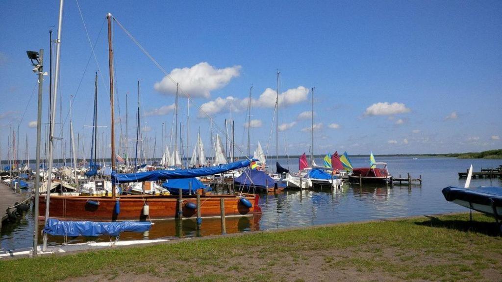 Appartamento Fraeulein Frida - Steinhude Wunstorf Esterno foto